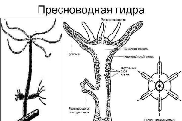 Ссылка блекспрут тор