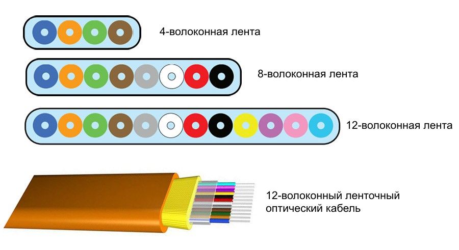 Black sprut актуальные ссылки